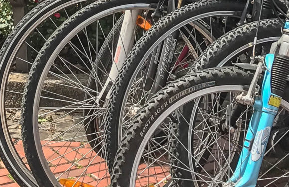 Zeugin nimmt Dieb die Beute weg: Nach Einbruch in Fahrradgeschäft weitere Details veröffentlicht