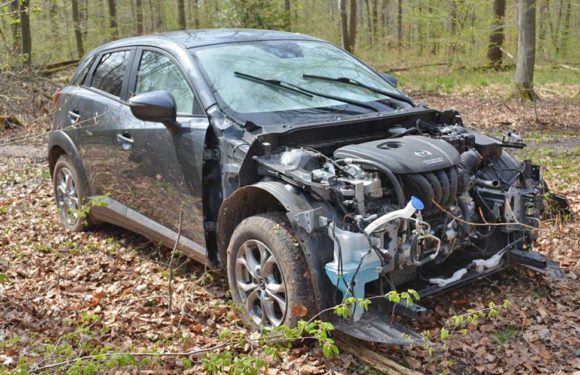 Gestohlener Mazda aus Minden ausgeschlachtet im Schaumburger Wald zurückgelassen