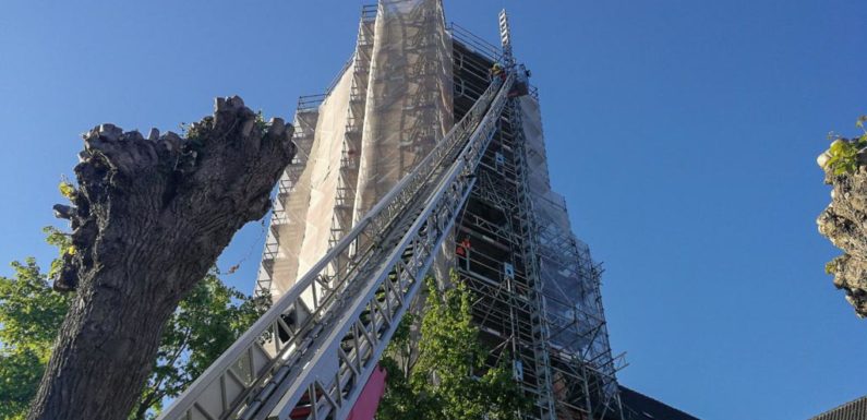 Rettung aus 30 Metern Höhe: Großübung am Kirchturm Meinsen