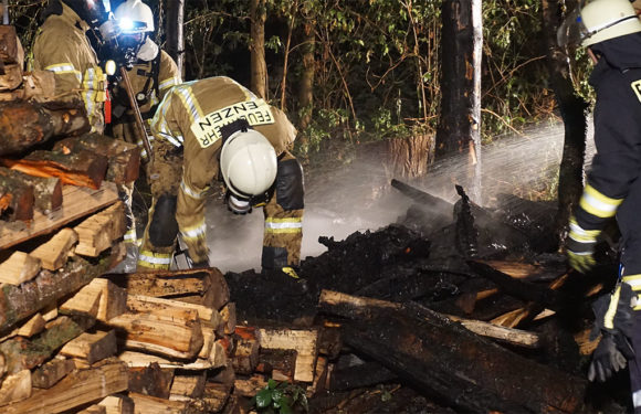 Schnelles Eingreifen der Feuerwehr verhindert Waldbrand