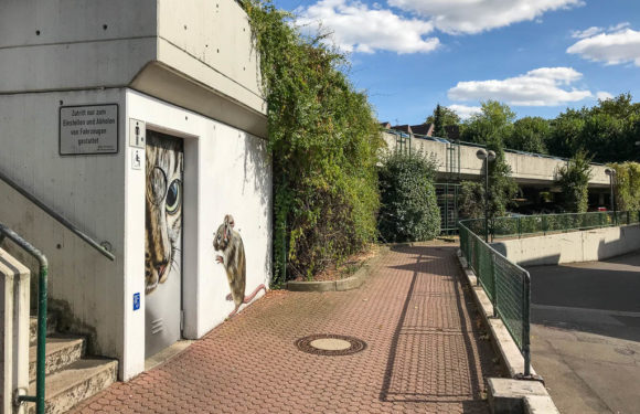 Bückeburg: Drogenkontrolle im Parkhaus