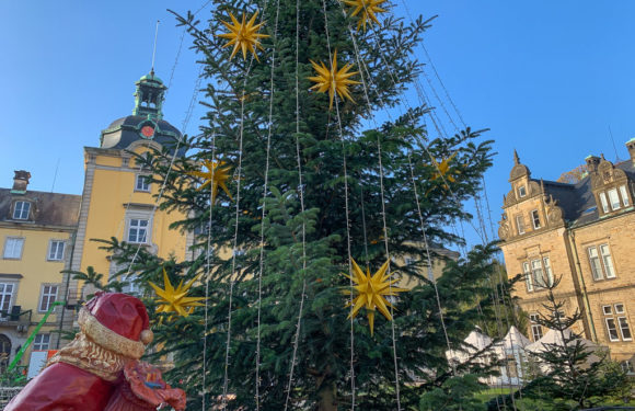 Weihnachtszauber Schloss Bückeburg: Weihnachten tierisch schön – alle Tiere, die wir lieben