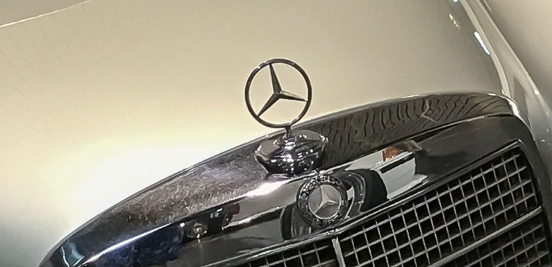 Dieb hat es auf Mercedes-Sterne abgesehen
