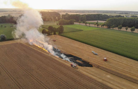 Hobbensen: Feuerwehren löschen brennendes Kornfeld
