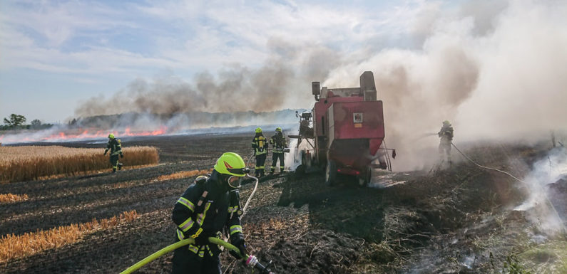 Feuer greift auf Wald über: 150 Feuerwehrleute im Großeinsatz in Sachsenhagen