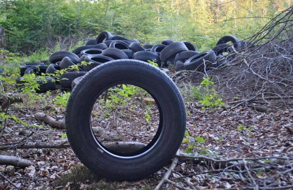 Erneut 230 alte Reifen illegal im Schaumburger Wald entsorgt