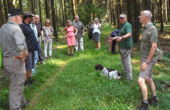 „Krankenbesuch“ der SPD-Kreistagsfraktion: „Patient Wald muss gesund werden“