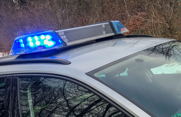 Polizei bekommt erneut Meldungen über Giftköder in Pollhagen