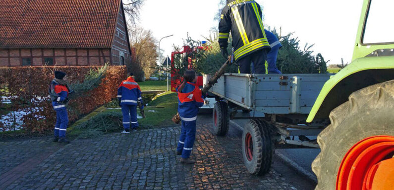 Feuerwehren in der Samtgemeinde Sachsenhagen sammeln wieder abgeschmückte Tannenbäume ein
