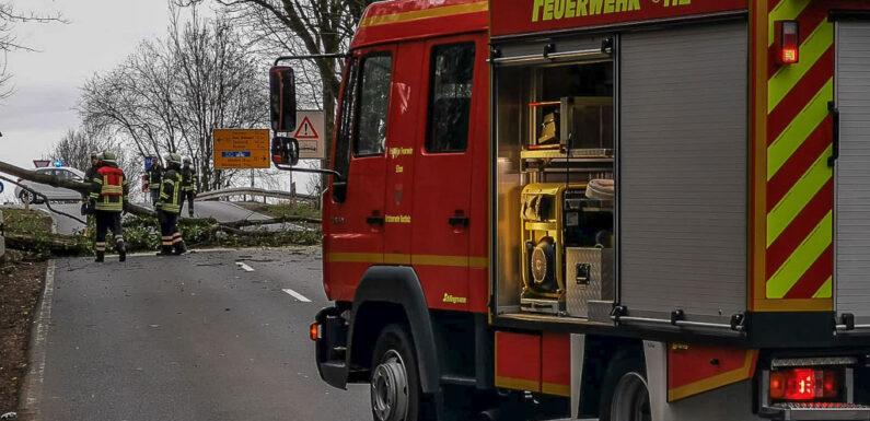 Orkantief „Sabine“ sorgt für 27 Sturm-Einsätze der Polizei Bückeburg