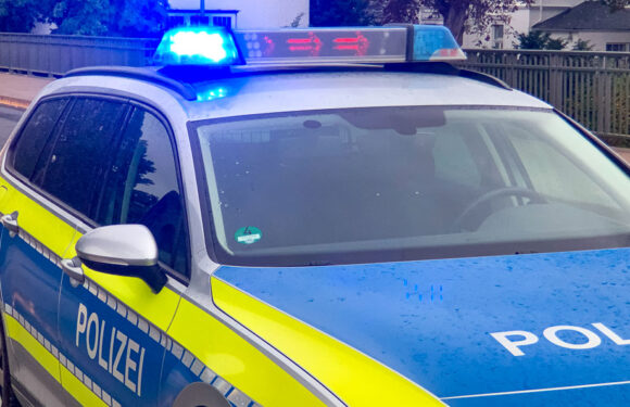 Lauenhagen: Unbekannte legen Giftköder aus, Polizei ermittelt