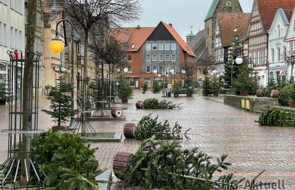 Stadthagen: Vandalismus an Weihnachten / Stromverteiler beschädigt