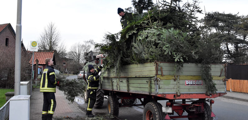 Bückeburg: Ortsfeuerwehren sammeln Tannenbäume ein