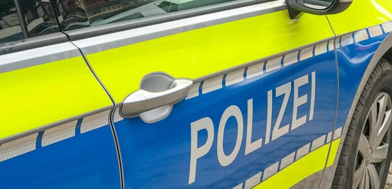 Polizei Stadthagen schnappt Ladendiebinnen in Lindhorst