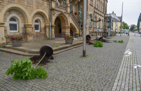 Bückeburg: Vandalismus vor dem Rathaus