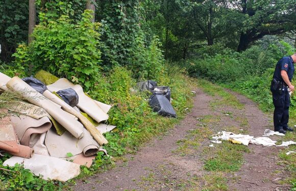 Diesmal in Nienstädt: Große Mengen Müll in der Umwelt abgeladen