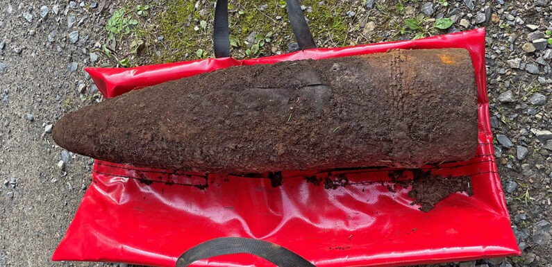 Stadthagen: Granaten beim Pilzsammeln im Wald gefunden