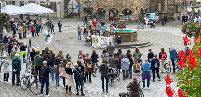 Fridays for Future: Klimaschutz-Demo und Kundgebung in Bückeburg