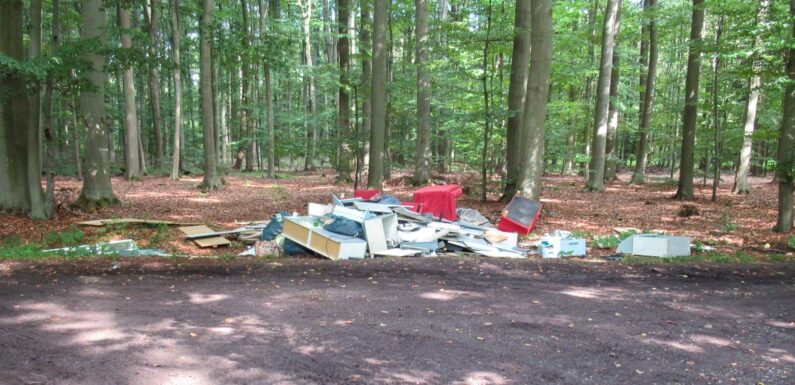 Hagenburg: Illegal Sperrmüll im Wald entsorgt