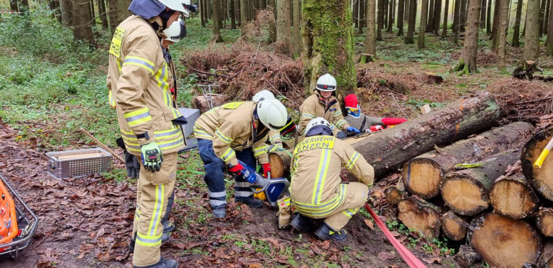 Übung der Feuerwehr: Brand im Wald zieht Großeinsatz nach sich