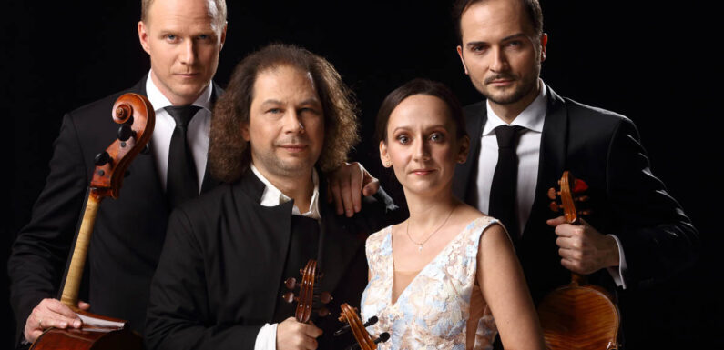 Konzert im Bückeburger Rathaussaal: Karol Szymanowski Quartett und Nico Benadie