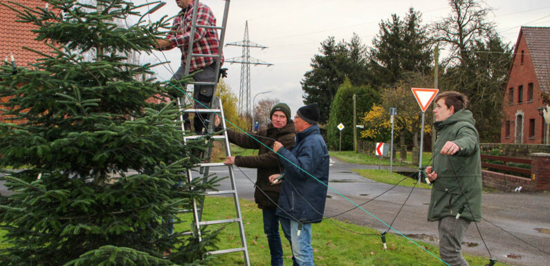 Alle packen mit an: Nordholzer Dorfgemeinschaft schmückt Weihnachtsbaum