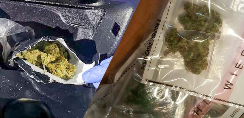 Drogen bei Fahrzeugkontrolle in Rinteln gefunden: Wohnungsdurchsuchung angeordnet