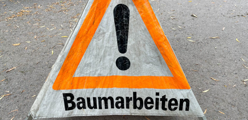 Bückeburg: Baumpflege im Unterwallweg im November