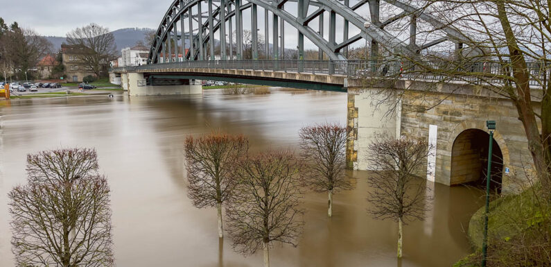 Hochwasser in Rinteln: Weser-Pegel erreicht 506 Zentimeter