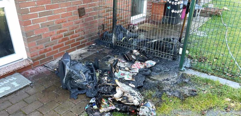 Mülltonnen geraten durch Ascheglut in Brand