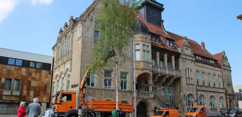 Den Wonnemonat ohne Feier begrüßen: Stadt Bückeburg stellt Maibaum auf