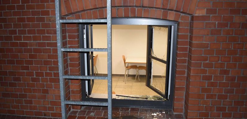Vandalismus in Bückeburg: Glasscheiben an Marienschule zerstört, Bäume beschädigt