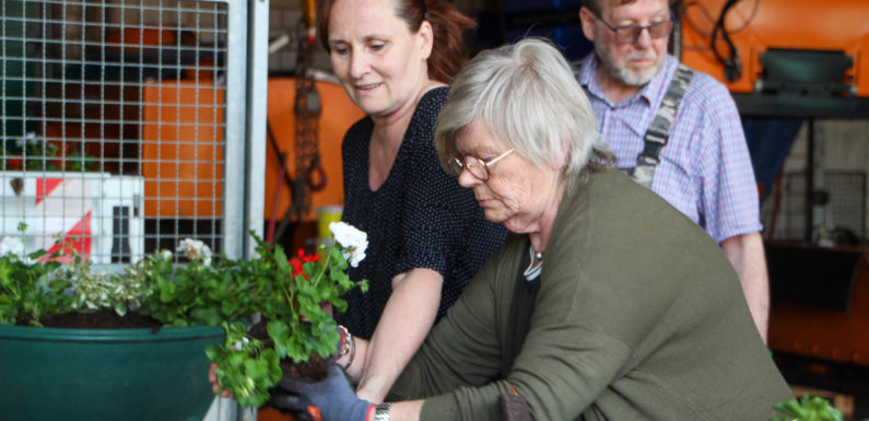 Obernkirchen blüht wieder auf: Ehrenamtliche bepflanzen zum 21. Mal Blumenkörbe für die Innenstadt