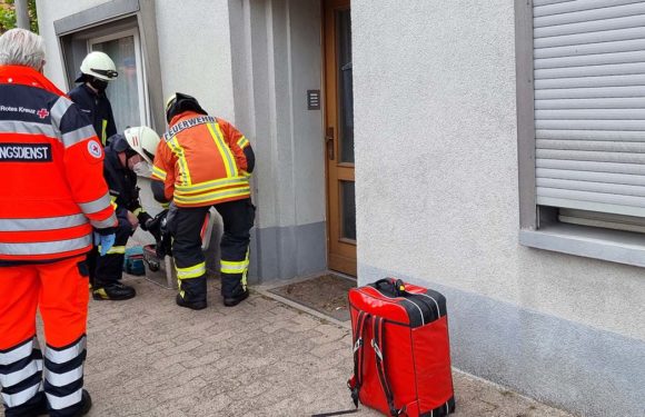 Heckenbrand und Türöffnung: Feuerwehreinsätze in Sachsenhagen und Hagenburg