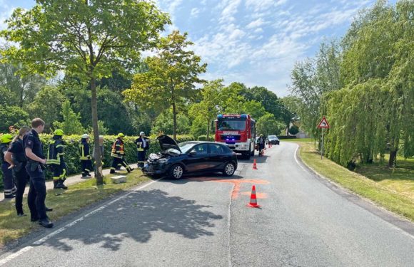 Feuerwehreinsatz in Sachsenhagen: Auto fährt gegen Baum