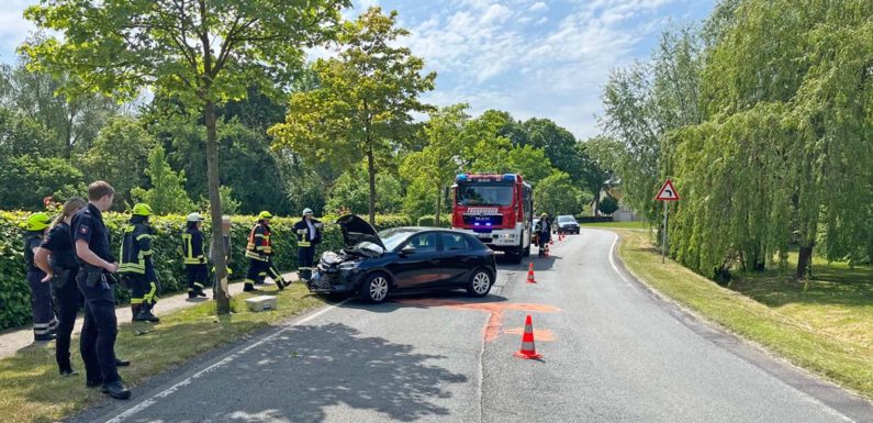 Feuerwehreinsatz in Sachsenhagen: Auto fährt gegen Baum