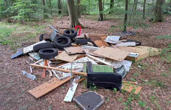 Wer hat den Müll im Wald bei Hagenburg entsorgt?