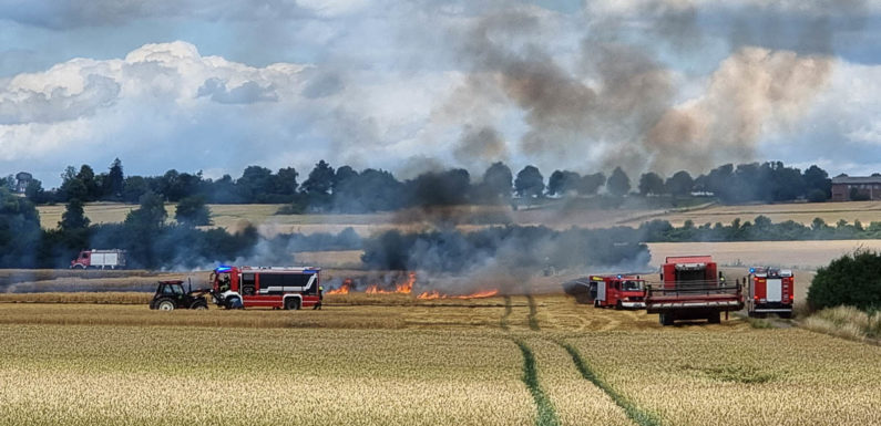 Brand auf Feld sorgt für Feuerwehreinsatz in Sachsenhagen