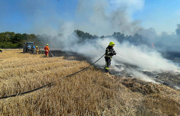 Feld in Bückeburg brennt auf 3,5 Hektar Fläche: Bahnstrecke und Bundesstraße zeitweise gesperrt