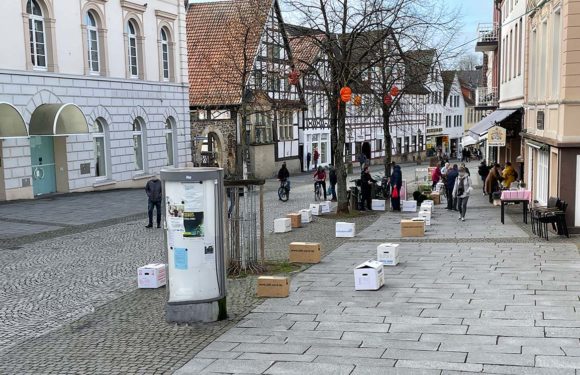 Baumfällung in Bückeburger Fußgängerzone? Freie Wähler beantragen Erhalt der Linden im ersten Bauabschnitt