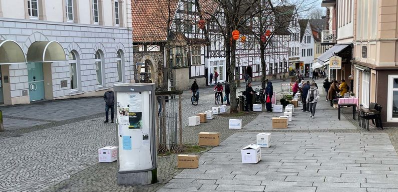 Baumfällung in Bückeburger Fußgängerzone? Freie Wähler beantragen Erhalt der Linden im ersten Bauabschnitt
