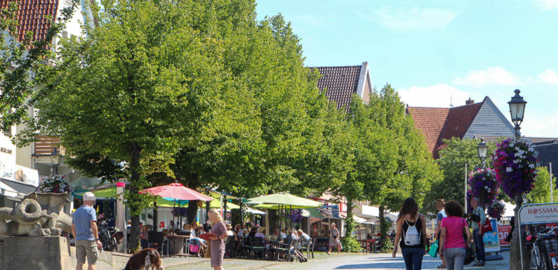 Unmut über Planungen für die Innenstadt: Stadt erklärt Baumfällungen in Bückeburg