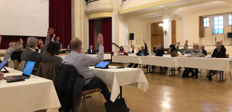 Bückeburg: Bürgermeister beugt sich Bevölkerungswillen / Klimaausschuss und Rat stimmen für Erhalt der Linden