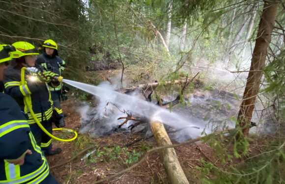Feuerwehren löschen kleinen Flächenbrand bei Sachsenhagen
