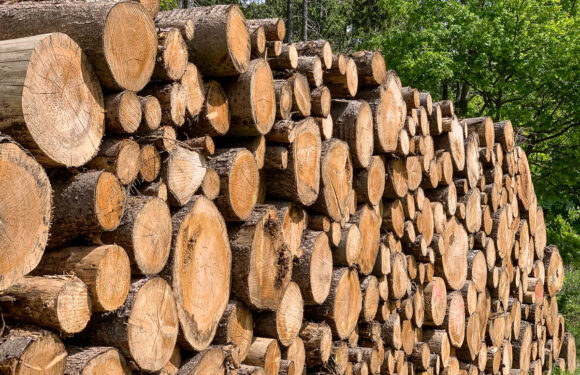 Achtung Betrug: Polizei warnt vor unseriösen Anbietern von Brennholz, Holzbriketts und Co.