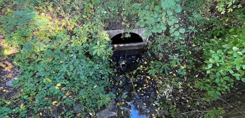 Mühlengraben-Pläne sorgen für Diskussionen: Verrohrung sanierungsbedürftig / Keine Relevanz für Hochwasserschutz