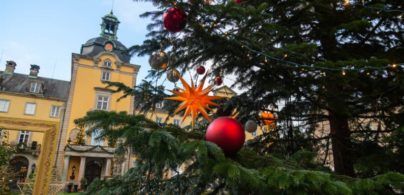 Weihnachtszauber auf Schloss Bückeburg: Dauerregen sorgt für Sperrung des Besucherparkplatzes