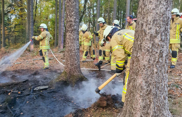 Aufmerksame Zeugin und Feuerwehren verhindern Waldbrand am Bückeberg