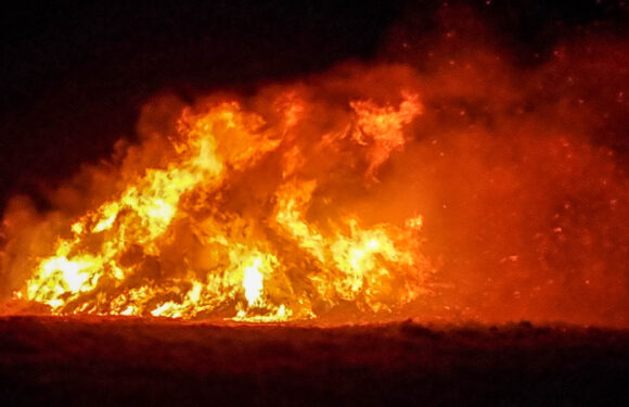 Hagenburg: 1000 Tannenbäume beim „Tannenbrand“ abgebrannt