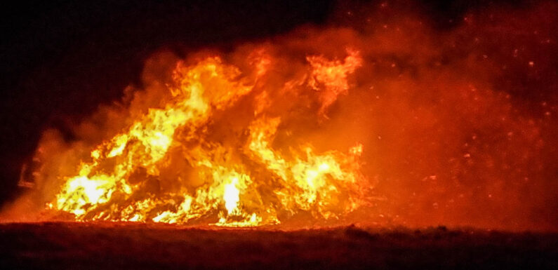Hagenburg: 1000 Tannenbäume beim „Tannenbrand“ abgebrannt